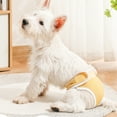 Aruwei Female Dog Diapers Breathable Mesh Design LeakProof Water
