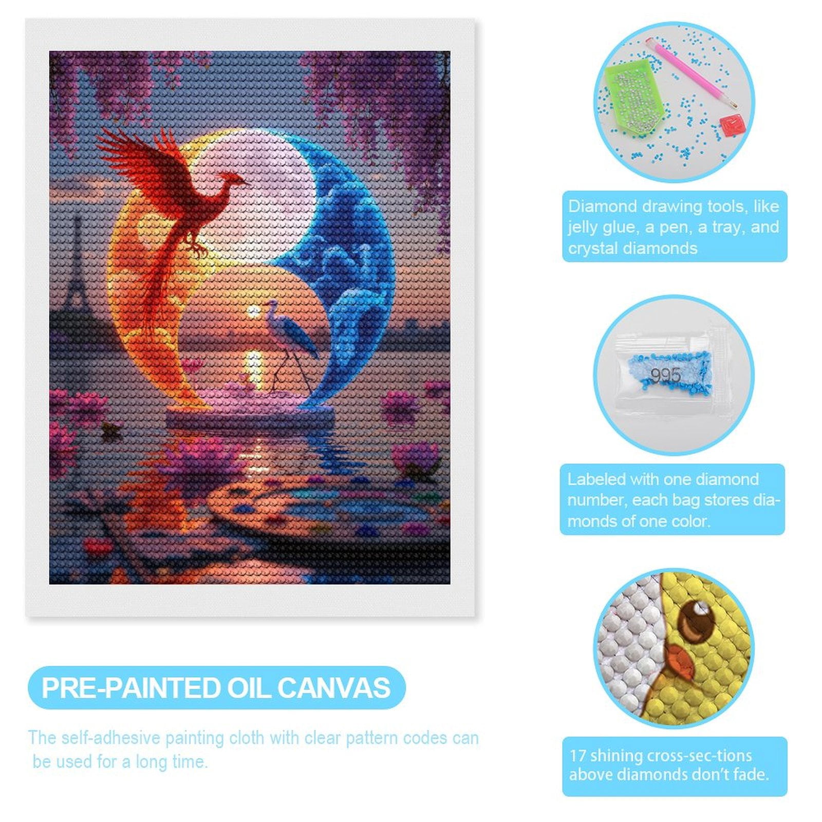 Diamond Art Kits for Adults, Parisian Sunset Yin Yang Birds 5D Diamond Painting Kits for Adults Beginners, DIY Full Drill Diamond Painting, Gem Art and Crafts 12x16
