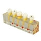 thumbnail image 2 of Modelo De Caries Dental, Modelo De Dientes Estudio Dental Implante Transparente Modelo De Caries Dental Para Enseñanza Dental, 2 of 5