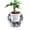 N, variant on Ruanlalo Aquaponic Betta Fish Tank Transparent Plastic Shatterproof Planter Ecosystem Aquarium Desktop Aquaponic System for Betta Fish Houseplants