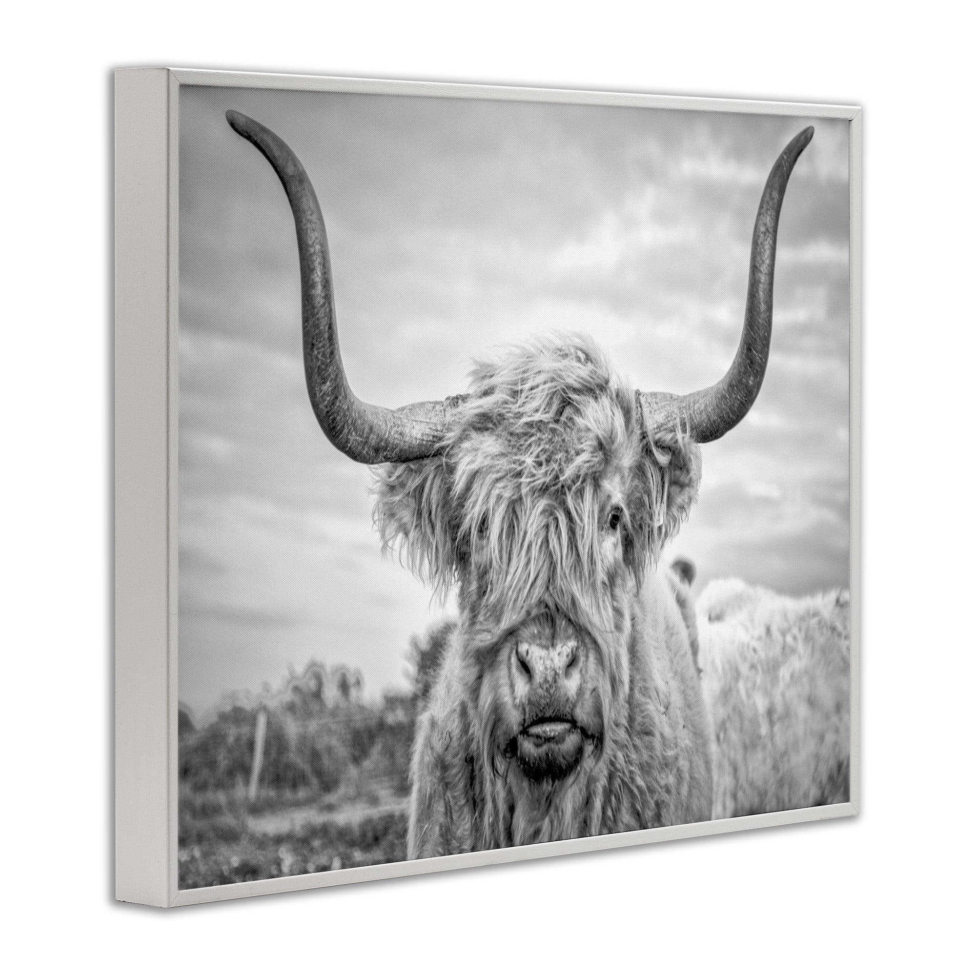 Stupell Industries Black and White Highland Cow Photograph White Framed Art Print Wall Art, 24x30, by Joe Reynolds
