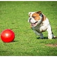 thumbnail image 3 of Boomer Ball 6in/150mm, 3 of 6