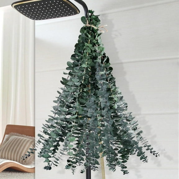 Lomyolo 12 Pcs Dried Eucalyptus Stems 17" Real Eucalyptus 100% Made From Fresh Eucalyptus Leaves Artificial Eucalyptus for Shower Hanging, Wedding Decor Home Decor Farmhouse Decor Diy Artificial Plan
