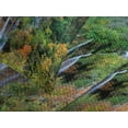 thumbnail image 4 of Ambesonne Fall Quilted Bedspread Set 3 Pcs, Scenic Fall Valley Lakes, Queen Size, Green Blue Orange, 4 of 5