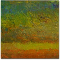 Trademark Fine Art Michelle Calkins 'Golden Dawn' 18" x 18" Canvas Stretched Art Print (190836069750)