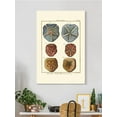 thumbnail image 2 of Sand Dollars I Wrapped Canvas  -Denis Diderot Designs,, 2 of 3
