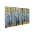 thumbnail image 2 of Trademark Fine Art 'Forest of Aspen Trees' Canvas Art by Pierre Leclerc, 2 of 3