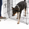 thumbnail image 2 of Midwest Black Contour Exercise Pen for Dogs, 24" H, 2 of 5