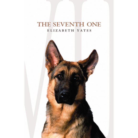 Pre-Owned The Seventh One (Paperback) 1579249817 9781579249816