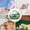 Green, variant on Portable Hamster Cage, Clear View Small Pet Carrier with Ventilation, Travel Habitat for Hamsters Gerbils Mice, Secure Outdoor Picnic Vet Visit Transport Cage