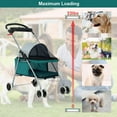 thumbnail image 7 of BestPet Pet Stroller with Cup Holder, 4 Wheels, Posh Folding, Waterproof, Portable, 7 of 7