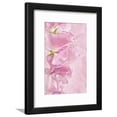 thumbnail image 1 of Pink Sweet Peas, Botanical Framed Art Print Wall Art by Cora Niele Sold by Art.Com, 1 of 2