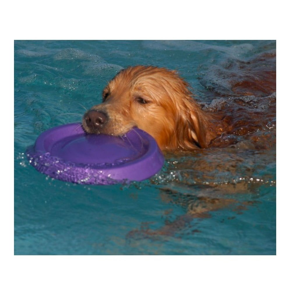 Dog Jump Catch and Fetch Toys Floating Interactive Foam Flyer Glider Disc FUN! (9" Random Color - Discounted)