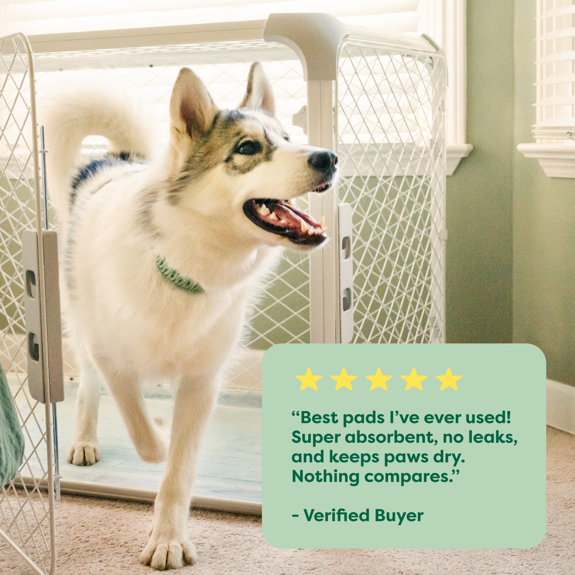 Earth Rated Leak-proof Pee Pads for Dogs and Puppies, 2X Faster Absorption*, Unscented, L, 22x22 in.,10ct