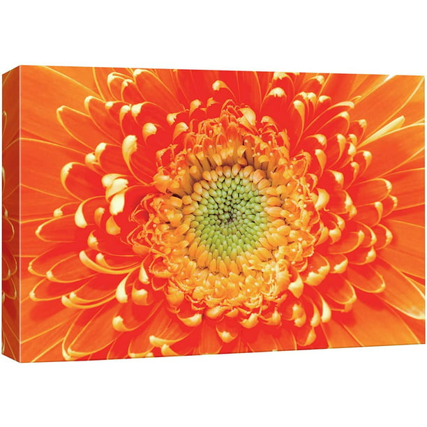 Idea4wall Canvas Wall Art Blooming Orange And Yellow Gerbera Daisy Fl Flower Photography Realism Modern Closeup Colorful For Living Room Bedroom Office 16 X24 Com - Gerbera Daisy Canvas Wall Art