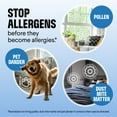 thumbnail image 5 of Clorox PURE Allergen Neutralizer Daily Air Spray, Ocean Mist, 8 oz. Bottle, 5 of 16
