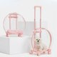 thumbnail image 1 of Cat Puppy Carrier Wheels Rolling Carrier Stroller Pet Cat Dog Travel Carrier with Comfortable Mat 360 degree Swivel Mute Wheels zhangmengya LED, 1 of 2