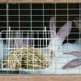 thumbnail image 4 of unbranded Alimentador De Para Conejos Con Bordes Suaves Y Material Resistente, 4 of 8