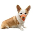 thumbnail image 4 of KYAIGUO Dog Muzzle Adjustable Muzzle Soft Mesh Muzzle Poisoned Bait Protective Muzzle for Dogs to Prevent Biting and Barking for Small Medium and Large Dogs, 4 of 9