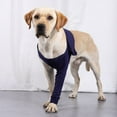 thumbnail image 5 of Recovery Sleeve For Pet Dog Front Leg Anti-licking Protect Cover To Prevents infection, 5 of 8