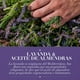 thumbnail image 4 of Shampoo Herbal Essences Anti-Frizz Lavanda & Aceite de Almendras 600 ml, 4 of 5