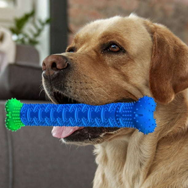 Tooth Brush Dog Diy Toothbrush Tooth Brush Brushing Stick For Dogs