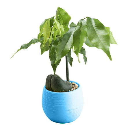 Mini Colourful Round Plastic Plant Flower Pots Home Office Decor