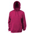thumbnail image 1 of Soffe Sweat à Capuche en Molleton pour Hommes - 9388, 1 of 1