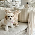 thumbnail image 4 of My Texas House Stafford Woven Reversible Plaid Stripe Square Decorative Pillow Cover, 20" x 20", Taupe/White, 4 of 9