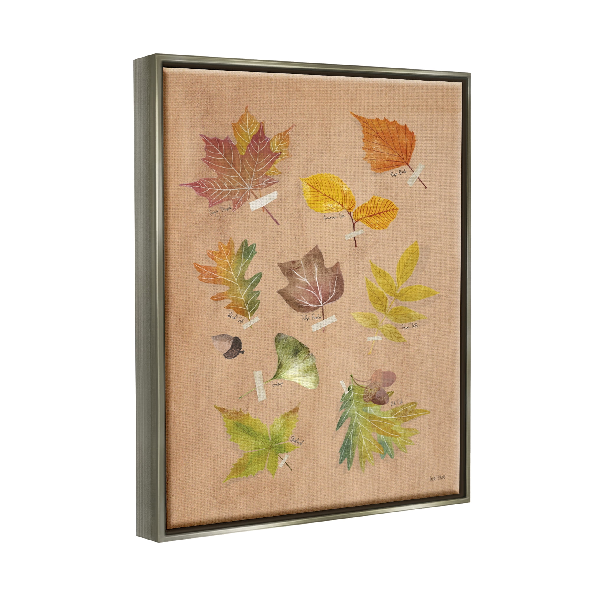 Stupell Industries Woodland Leaf Studies Botanical & Floral Painting Gray Floater Framed Art Print Wall Art, 17 x 21