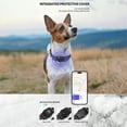 thumbnail image 5 of Dog Collar for Small Medium Dogs,  Adjustable Reflective Wide Heavy Duty Pet Collars with Safety Locking Buckle for Walking, 5 of 8