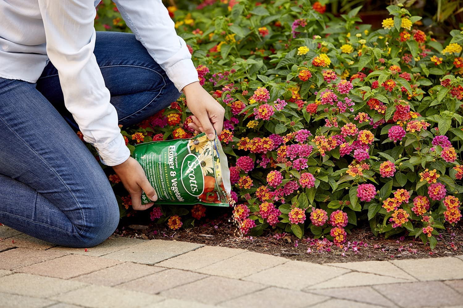 6-pack Scotts All Purpose Flower and Vegetable Plant Food Granules - Continuous Release - 6 Pack, 3 lbs — Outdoor & Indoor Plant Use, Easy Application