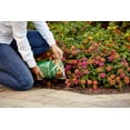 thumbnail image 3 of 6-pack Scotts All Purpose Flower and Vegetable Plant Food Granules - Continuous Release - 6 Pack, 3 lbs — Outdoor & Indoor Plant Use, Easy Application, 3 of 5