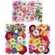 thumbnail image 1 of Kit de flores prensadas secas Timcorr vibrante juego de manualidades DIY con flores naturales, 1 of 5