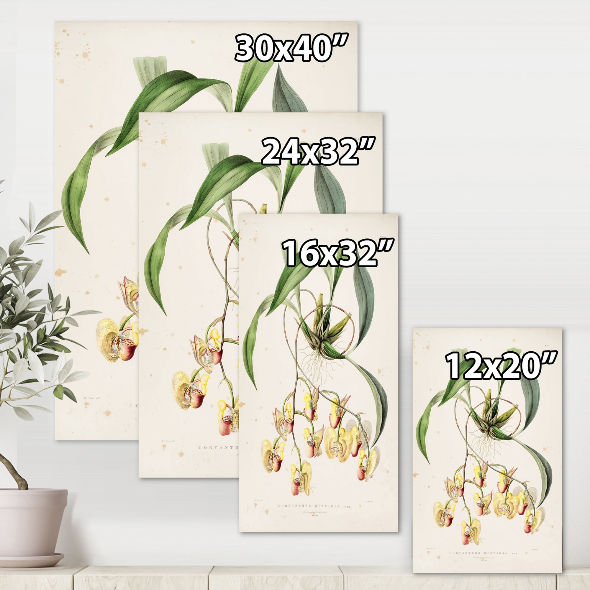 Designart ' Blossoming Vintage Flower I ' Traditional Canvas Wall Art Print