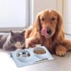 thumbnail image 5 of Cat Bowl, Pet Bowls, Dog Cat Bowl, Double Bowl for Cat and Dog, Dog Pet Feeder Bowl, Non-Slip Stainless Steel Cat Bowl (Blue), 5 of 5