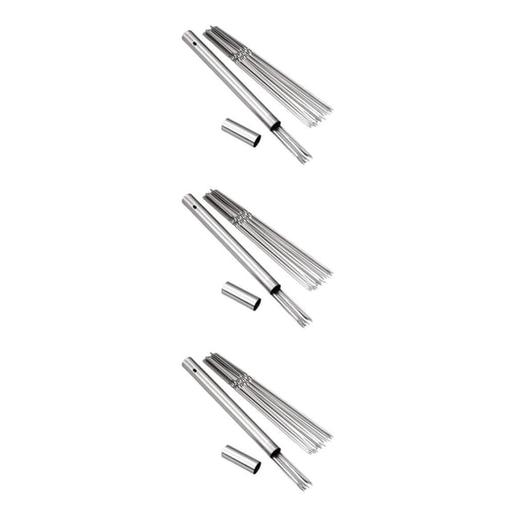 Speravity Palo para barbacoa de acero inoxidable, herramienta definitiva para asar kebabs con facilidad, se puede lavar en lavavajillas, palo + Type1 NO1