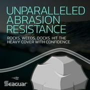 Seaguar Red Label 100% Fluorocarbon Fishing Line 15lbs, 200yds Break Strength/Length - 15RM200