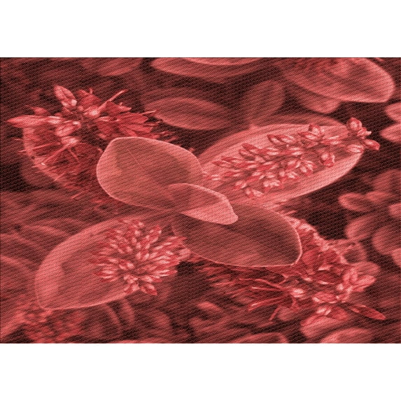 Ahgly Company Machine Washable Indoor Rectangle Transitional Tomato Red Area Rugs, 6' x 9'