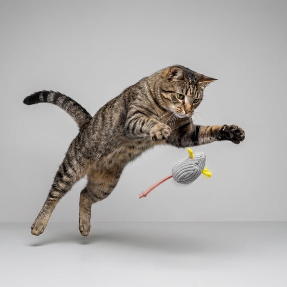 Yhmxh Catnip Cat Mice Toys Interactive Mouse Cat Toy for Indoor, Soft Corduroy Mouse Cat Toy, Plush Mice Toy for Kittens and Cats, Teeth Cleaning Chew Toy for Playing, Chewing