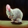 thumbnail image 2 of Heffernan, Lucia 12x12 White Modern Wood Framed Museum Art Print Titled - More Carrot Please, 2 of 4