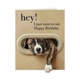 thumbnail image 1 of Interesting Dog Birthday Card: Pet Theme Birthday Greeting Card, 1 of 9