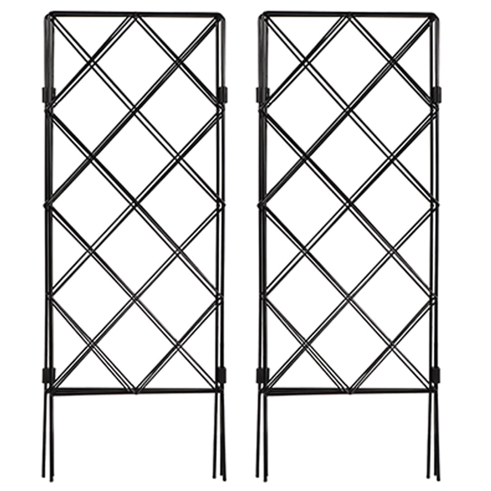 unbranded 2pcs Practical Garden Climbing Plants Support Rack Iron Tomatoes Cages for Garden