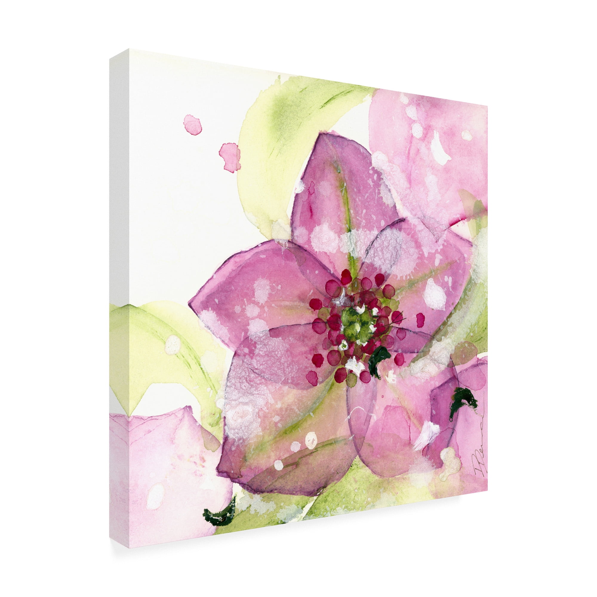 Trademark Fine Art 'Pink Flower in the Snow' Canvas Art by Dawn Derma