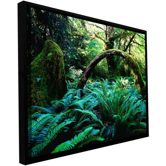ArtWall Dean Uhlinger "Rain Forest Afternoon" Floater Framed Gallery-Wrapped Canvas