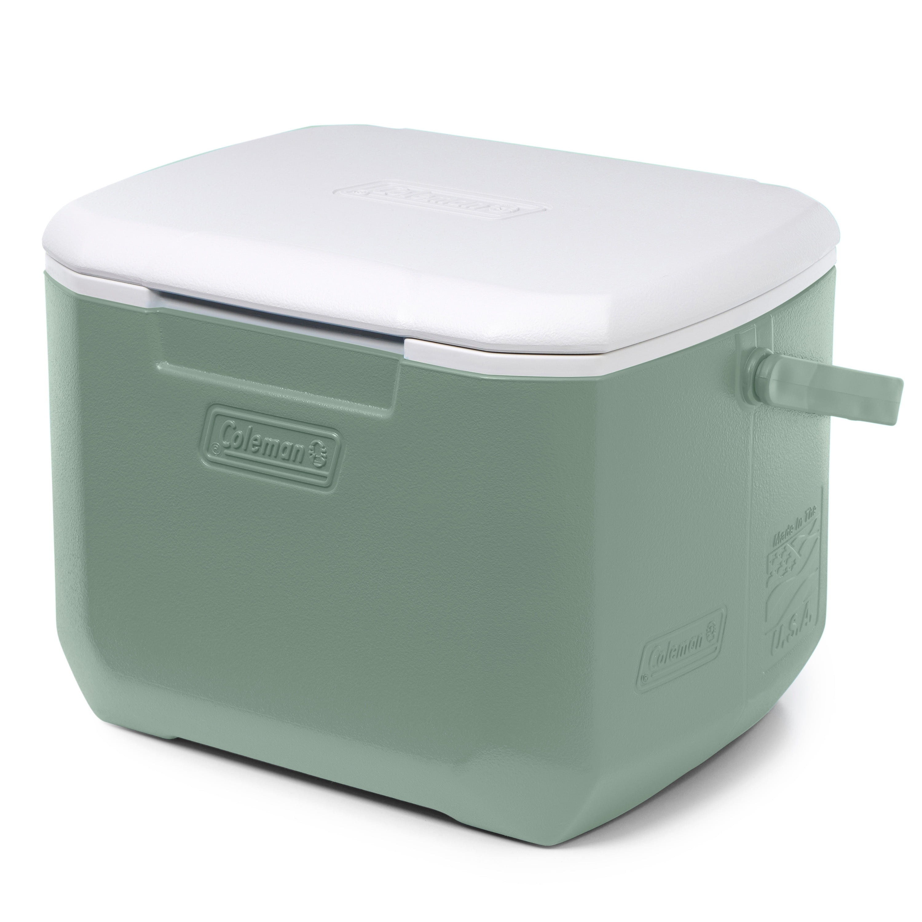 Glacière portative Coleman Chiller 15,1 L (16 pintes), glacière isolée pour les lunches et les boissons, vert de mousse hickory