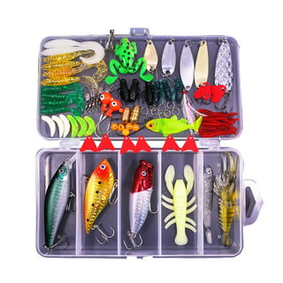Elegantoss Portable Fun Fishing Lures Baits Kit Set in Tackle Box to catch  Freshwater Trout Bass Salmon in a Plastic Box (17pcs) 