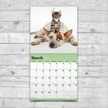 2021 Furry Friends Wall Calendar | Walmart Canada
