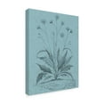 thumbnail image 2 of Trademark Fine Art 'Botanical on Teal IV' Canvas Art by Vision Studio, 2 of 4