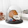 thumbnail image 2 of Plymor 8" x 8" Glass Display Dome Cloche (Black MDF Wood Base), 2 of 2